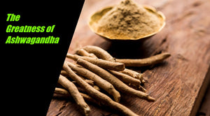 The many health benefits of ashwagandha: An ancient herb for modern times