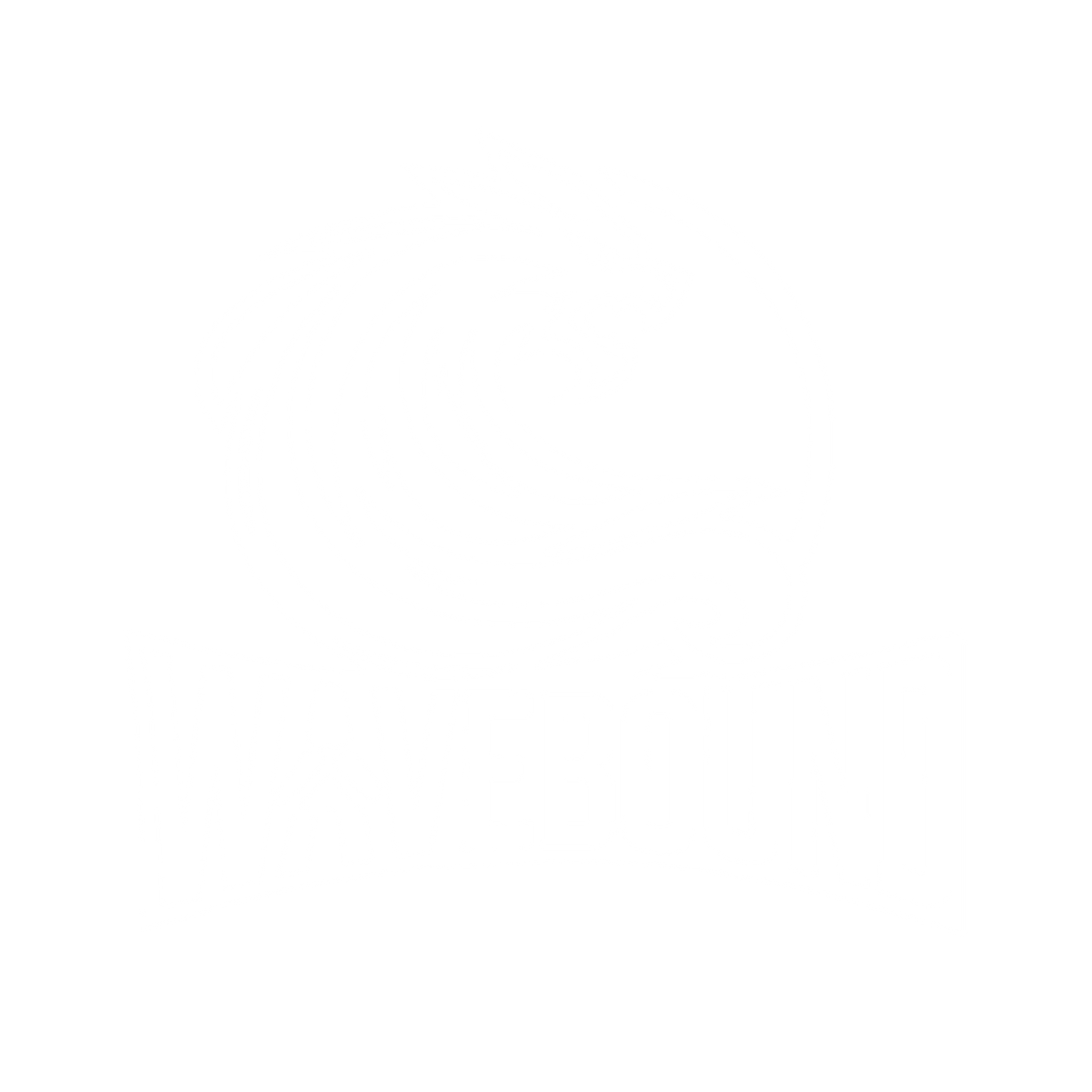 WaveBound