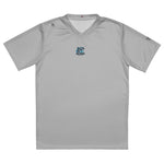 Dolphins Swim Team Recycled unisex sports jersey