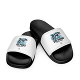 Dolphins swim team Men’s slides